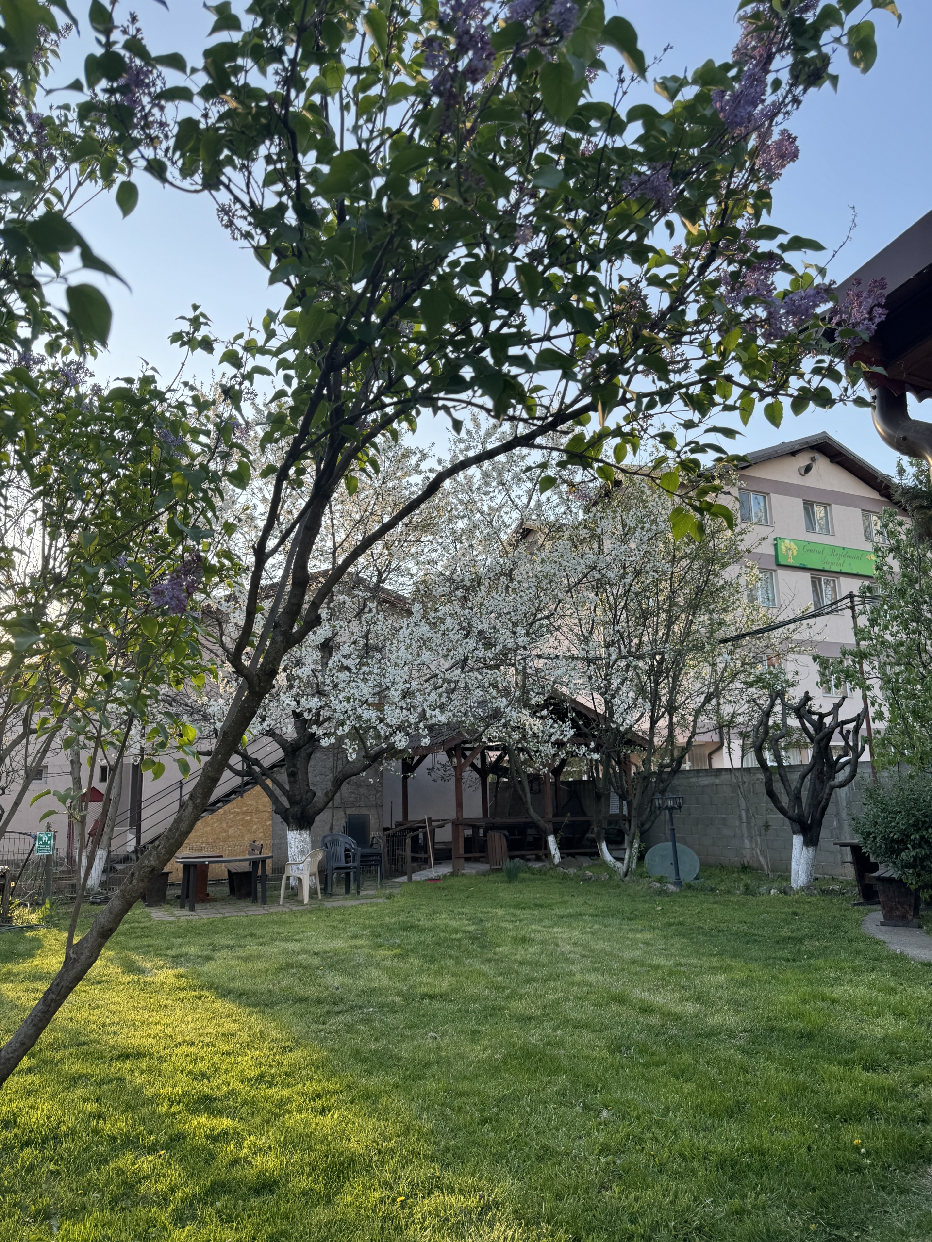 Pomi și fructe, grădina Căminului de bătrâni Stejarul