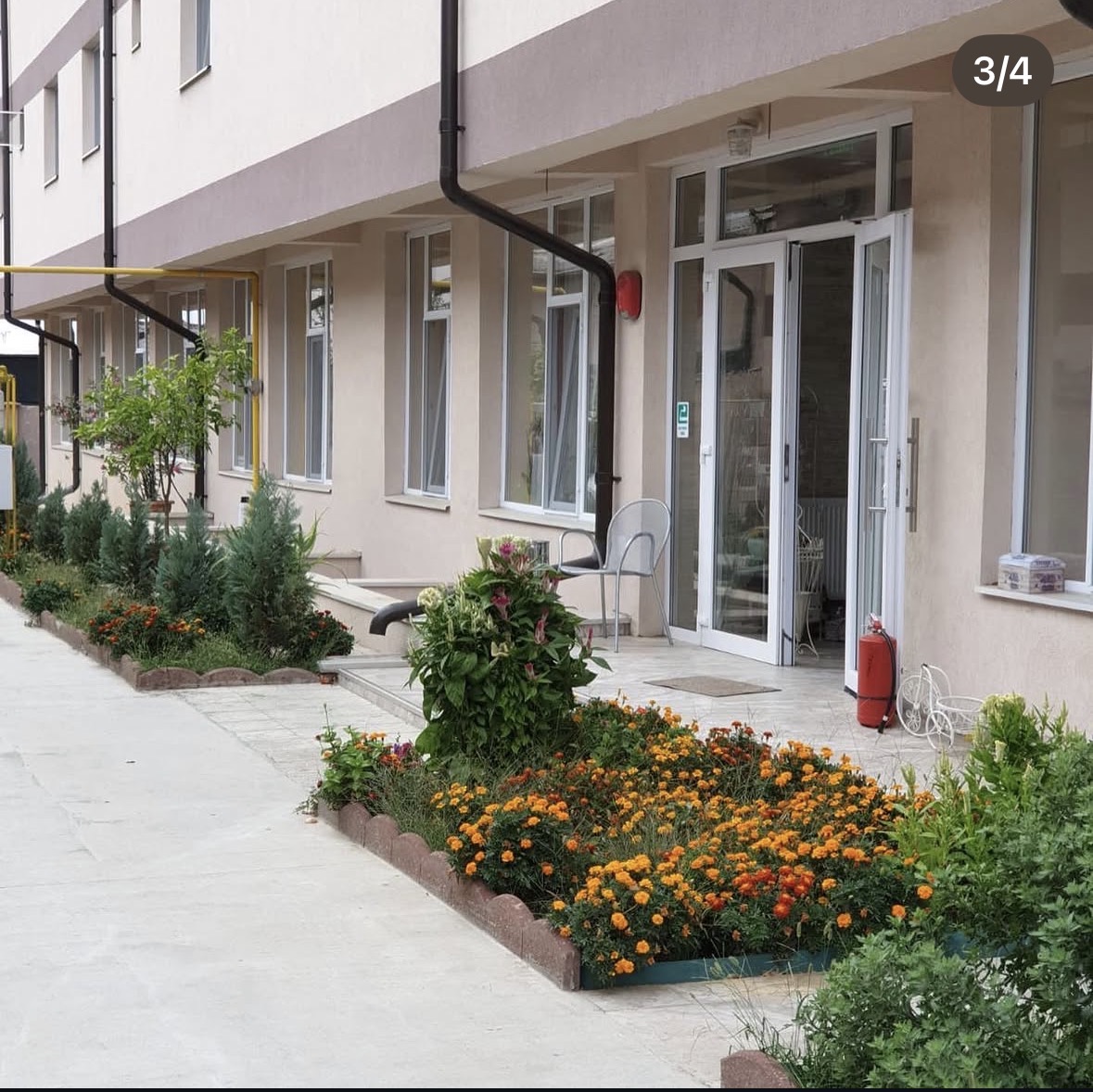 Flori, grădina Căminului de bătrâni Stejarul