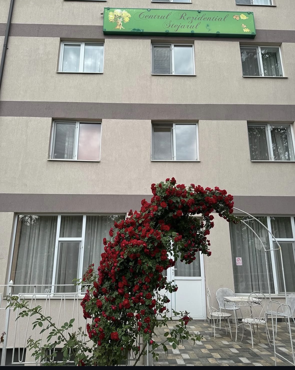 Flori, grădina Căminului de bătrâni Stejarul