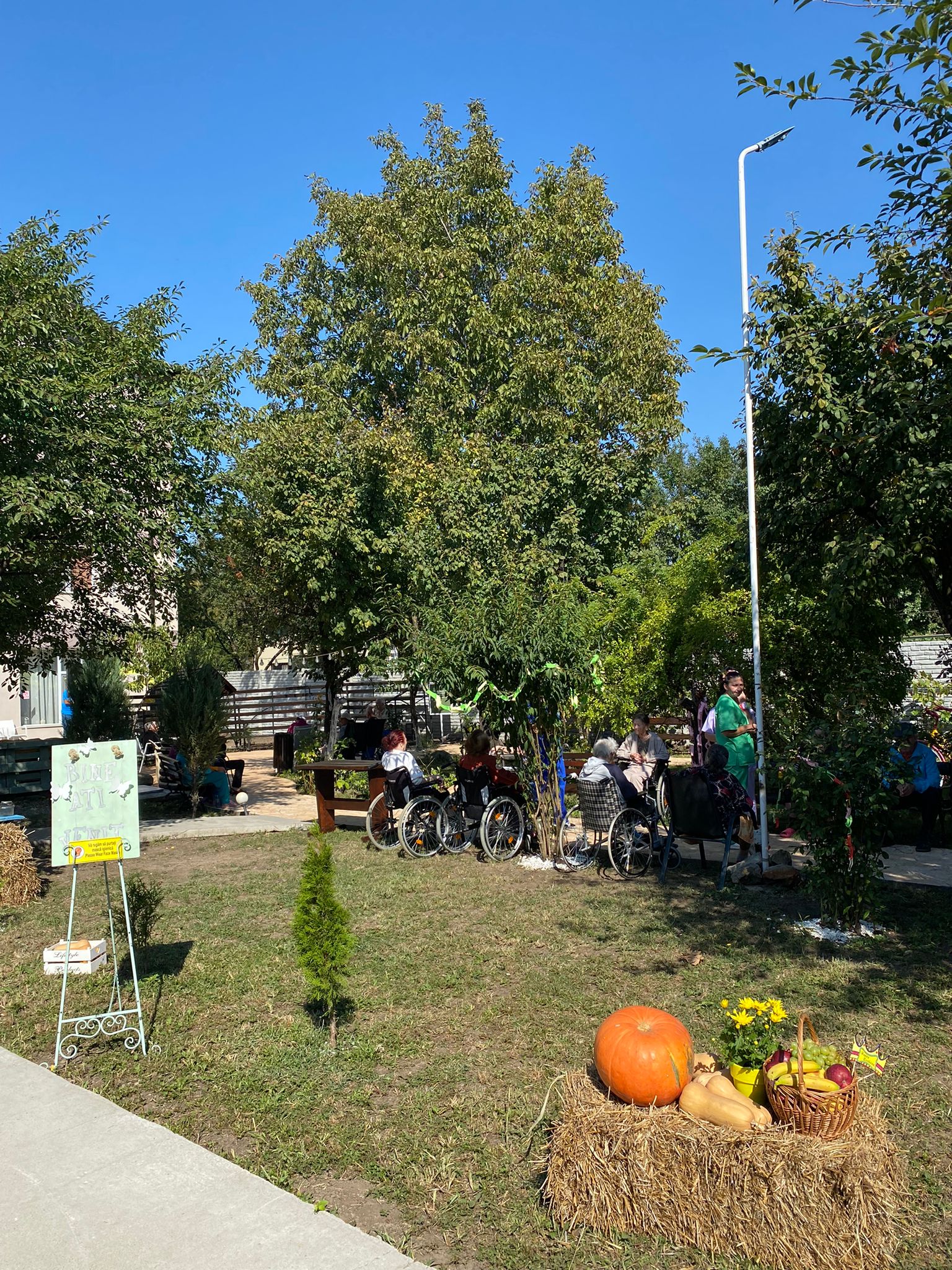 Grădina, Căminul de bătrâni Stejarul